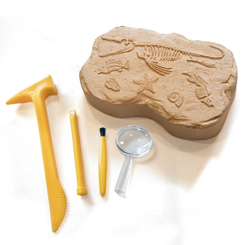 Picture of Learning Resources EI-5340 Educational Insights GeoSafari Jr Fossil Excavation Kit