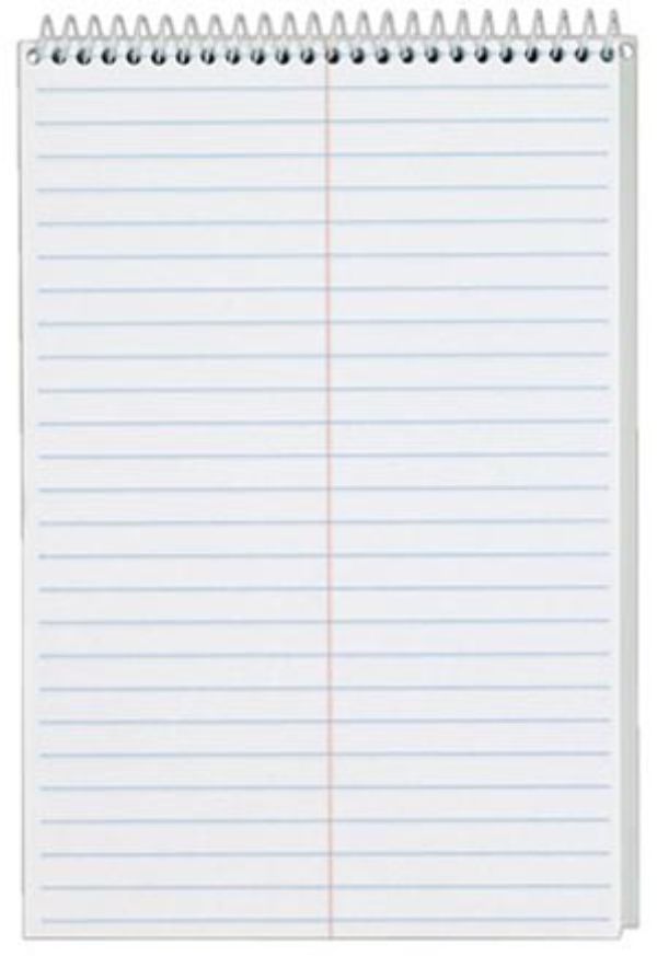Steno Books, 6in. x 9in., Gregg Rule, 80 Sheets, 3PK