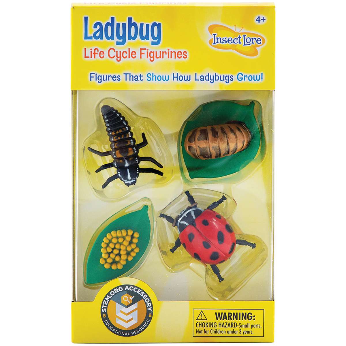 Picture of Insect Lore ILP6090-2 Ladybug Life Cycle Stages Figurines - Set of 2