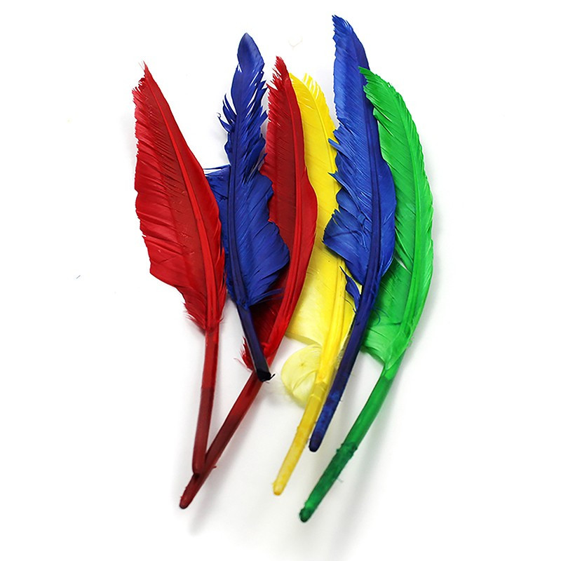 10 & 12 in. Quill Feather - Pack of 12