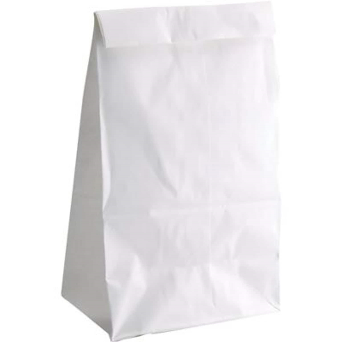 White Paper Bags - Size 6 - 100 Per Pack - Pack of 2