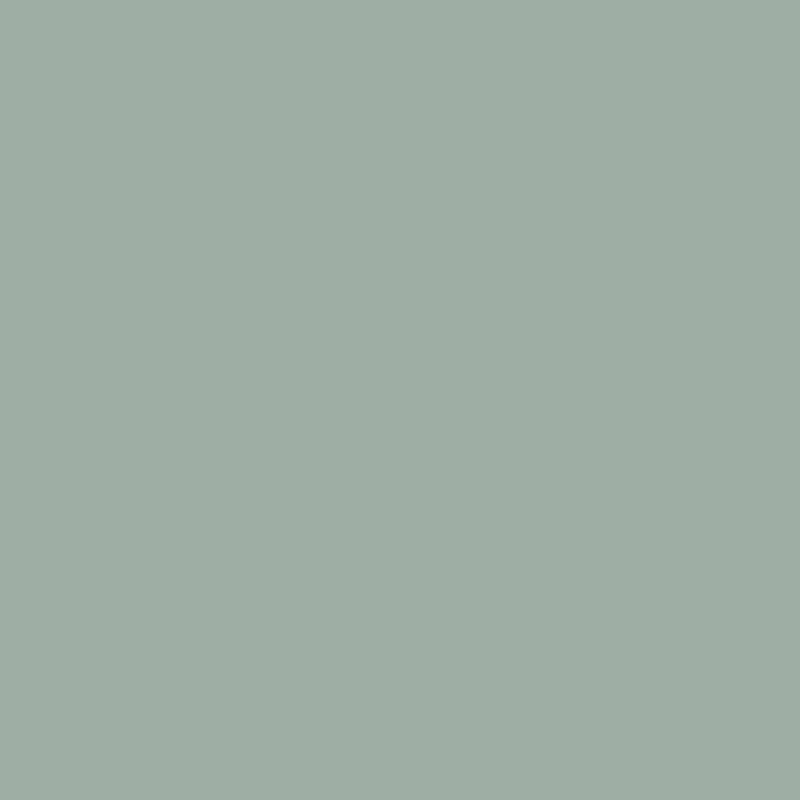 48 in. x 50 ft. Roll Vintage Schoolgirl Style Chalkboard