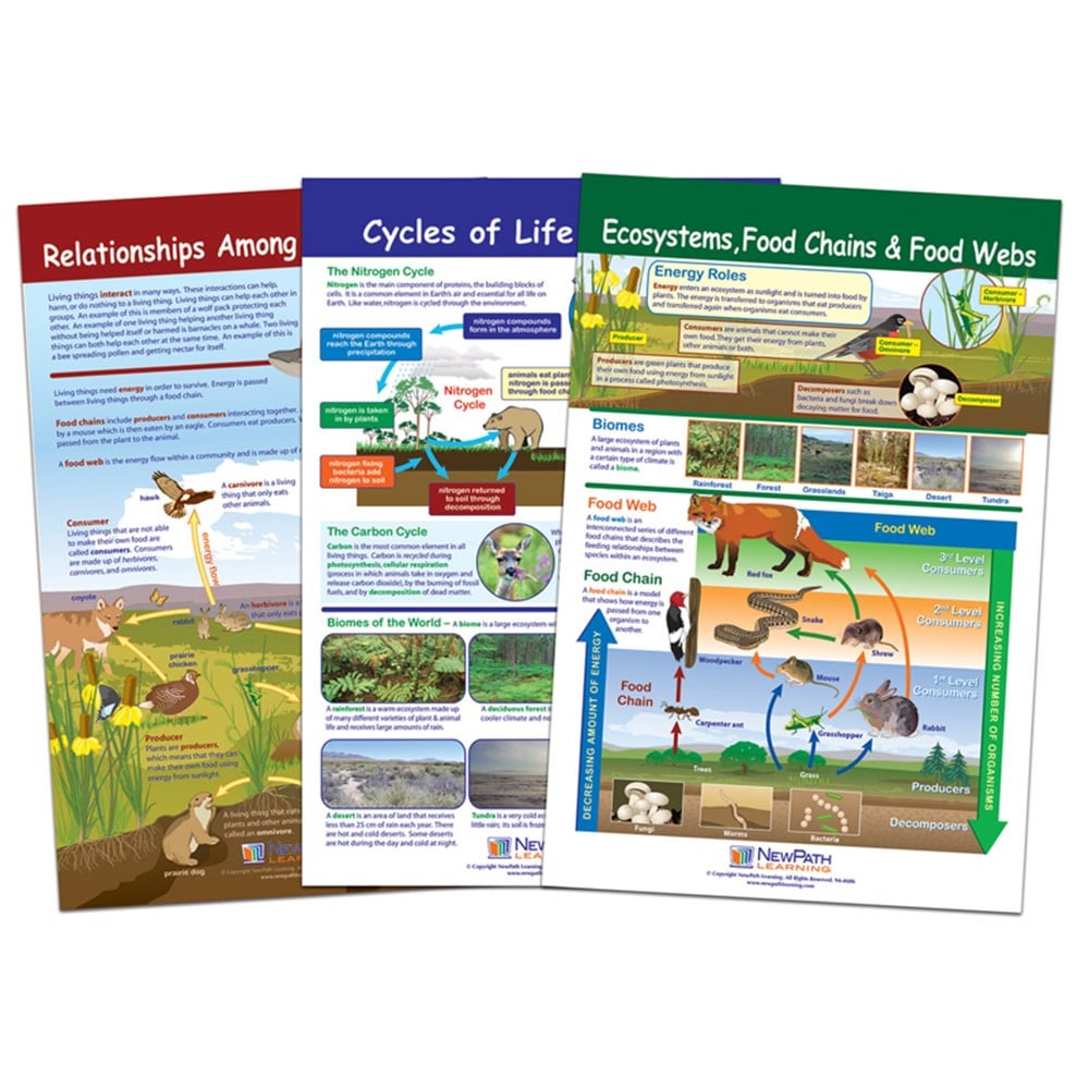 Path Learning NP-947007 Ecology Bulletin Board Chart Set - Grades 3-5