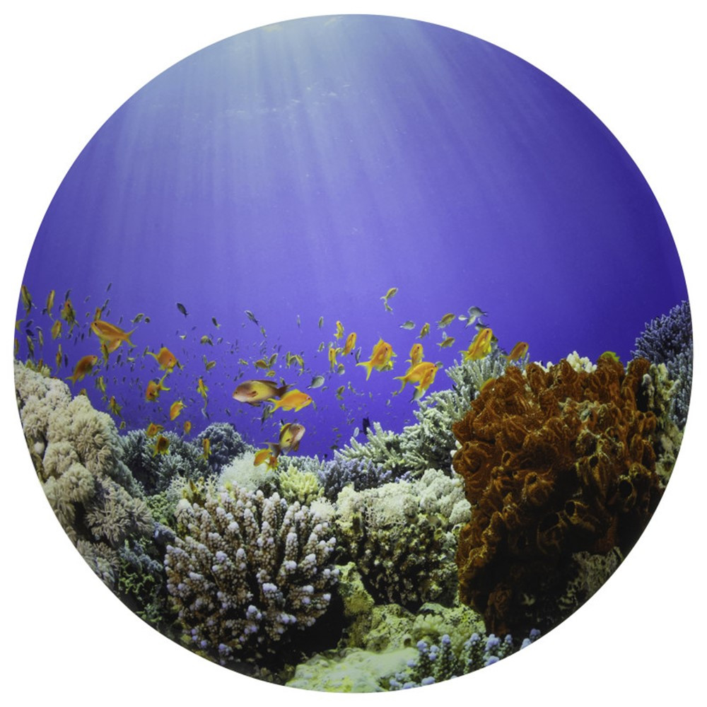 Picture of Learning Advantage CTU73560 Under the Sea Discovery Play Mat