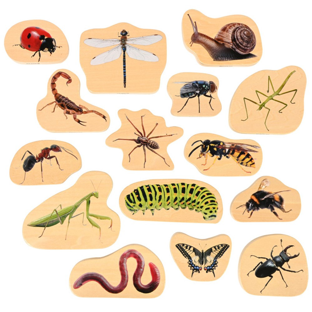 Picture of Learning Advantage CTU73568 Wooden Minibeast Blocks - Set of 15