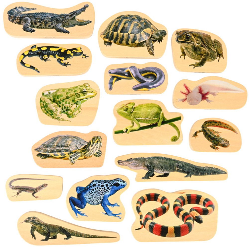 Picture of Learning Advantage CTU73570 Wooden Reptile & Amphibian Blocks - 15 Piece