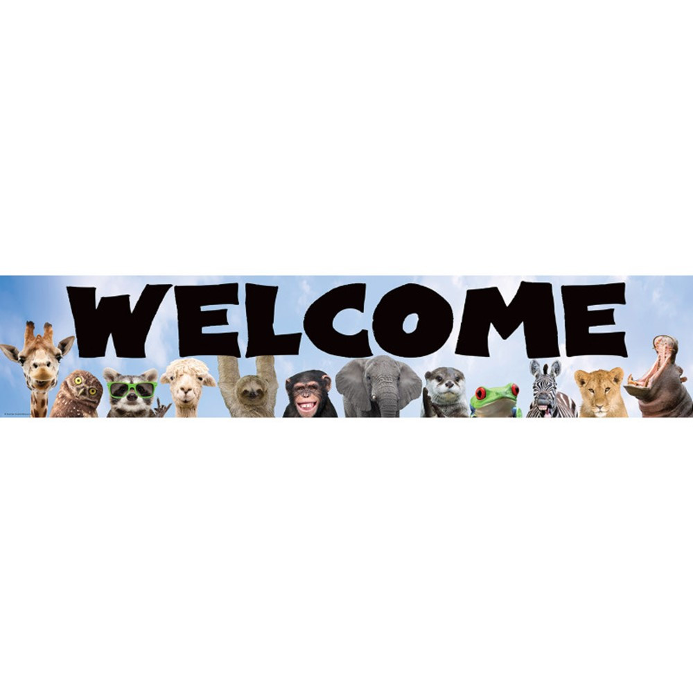 Picture of Teacher Created Resources TCR6836-6 Wild Animals Welcome Banner - Pack of 6