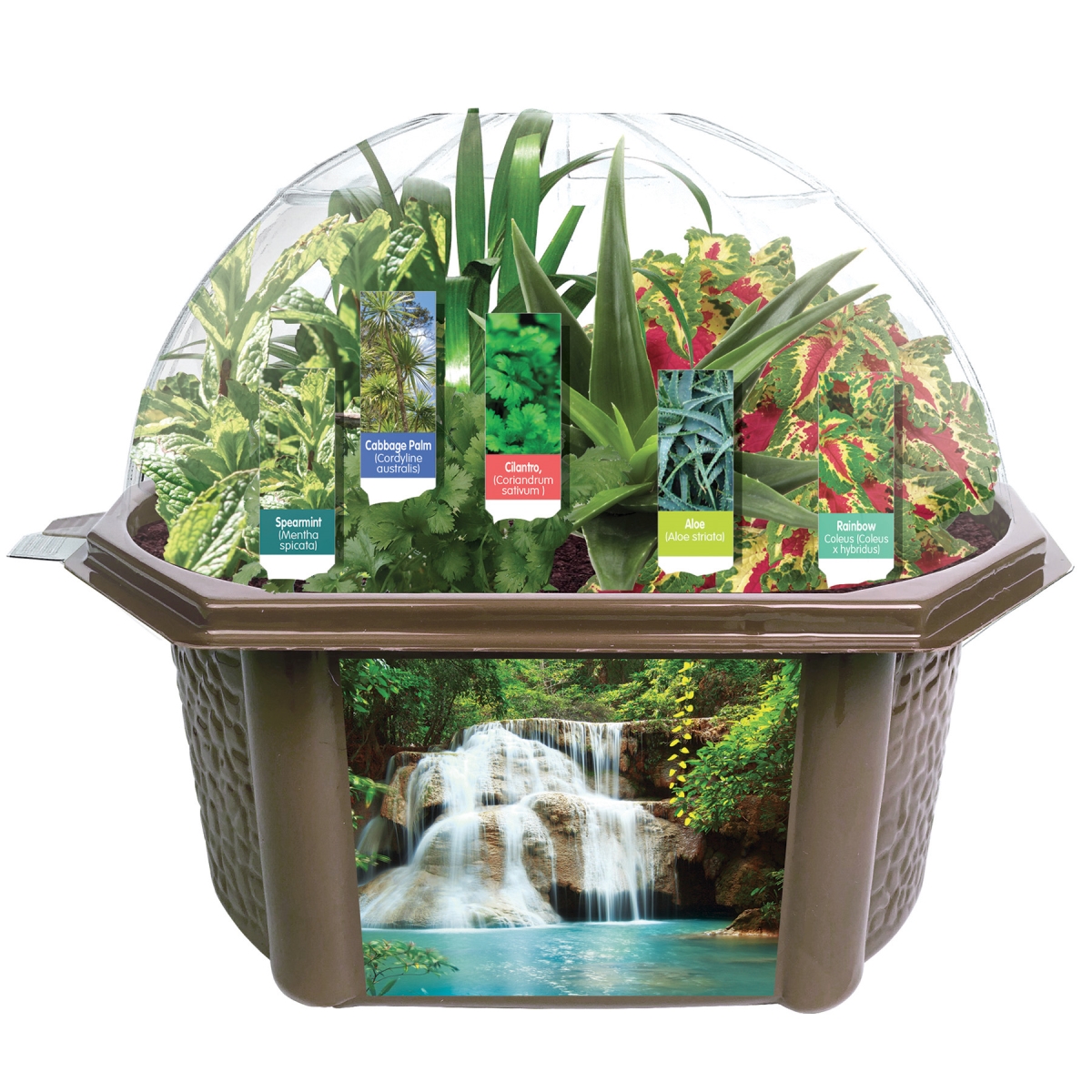 Picture of Silver Circle Products SRCEBSB620 Sensory Biosphere Sprout Seeds & Nurture Plant