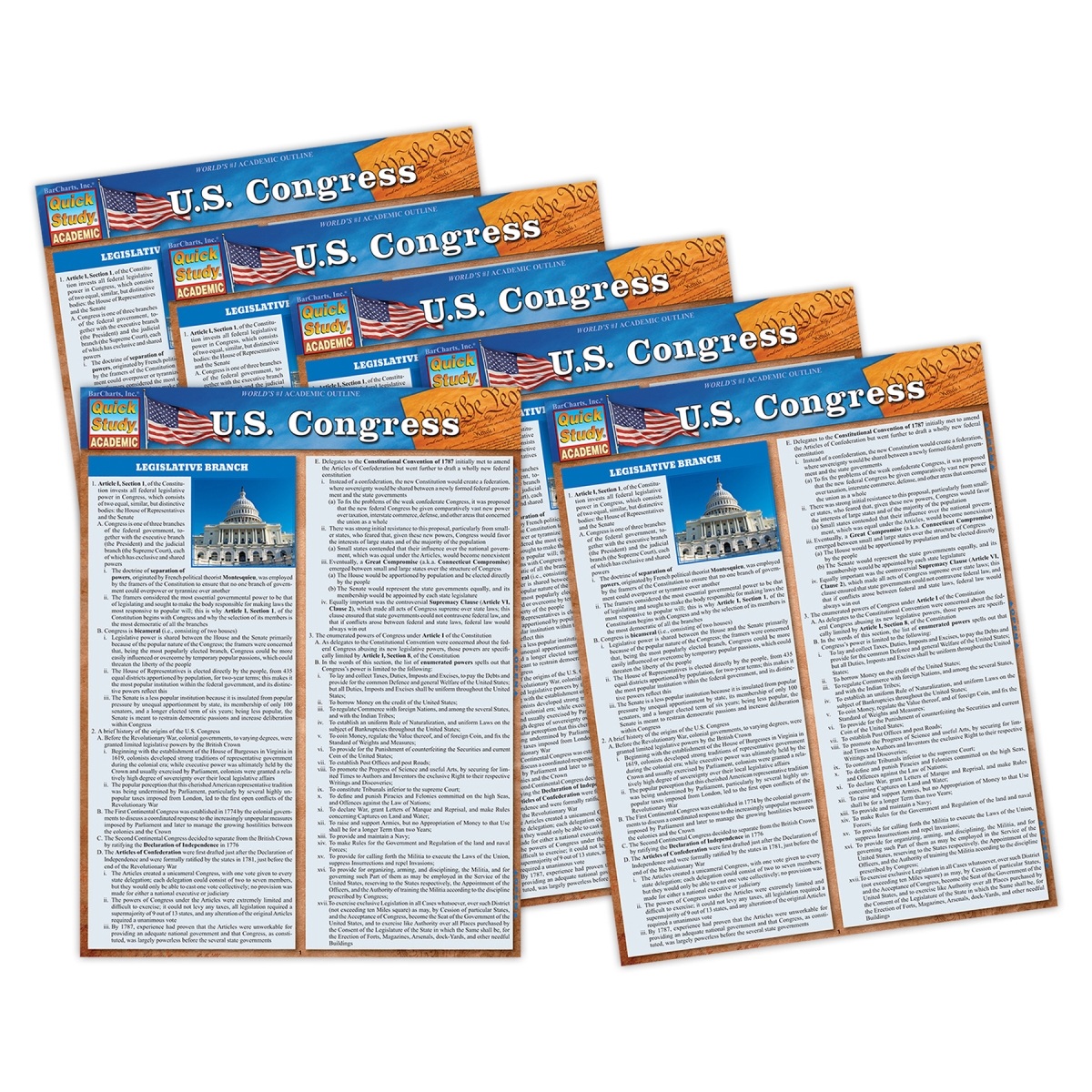 Picture of Barcharts QS-9781423251217 USA Congress Laminated Study Guide