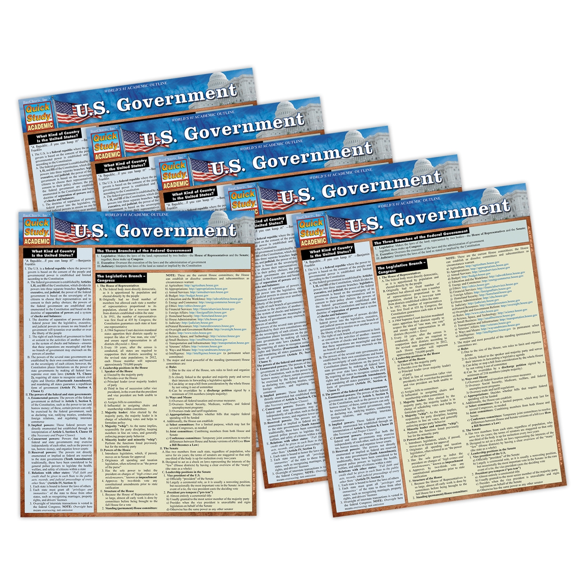Picture of Barcharts QS-9781423251224 USA Government Laminated Study Guide