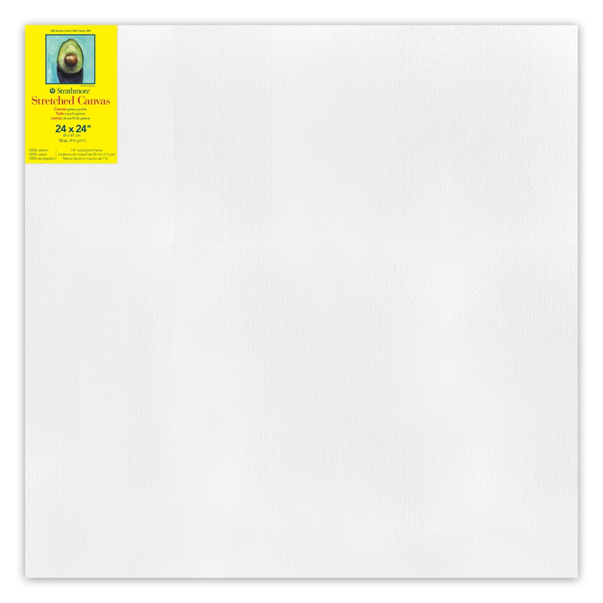 STT31424 24 x 24 in. 300 Series Strathmore Gallery Stretched Canvas