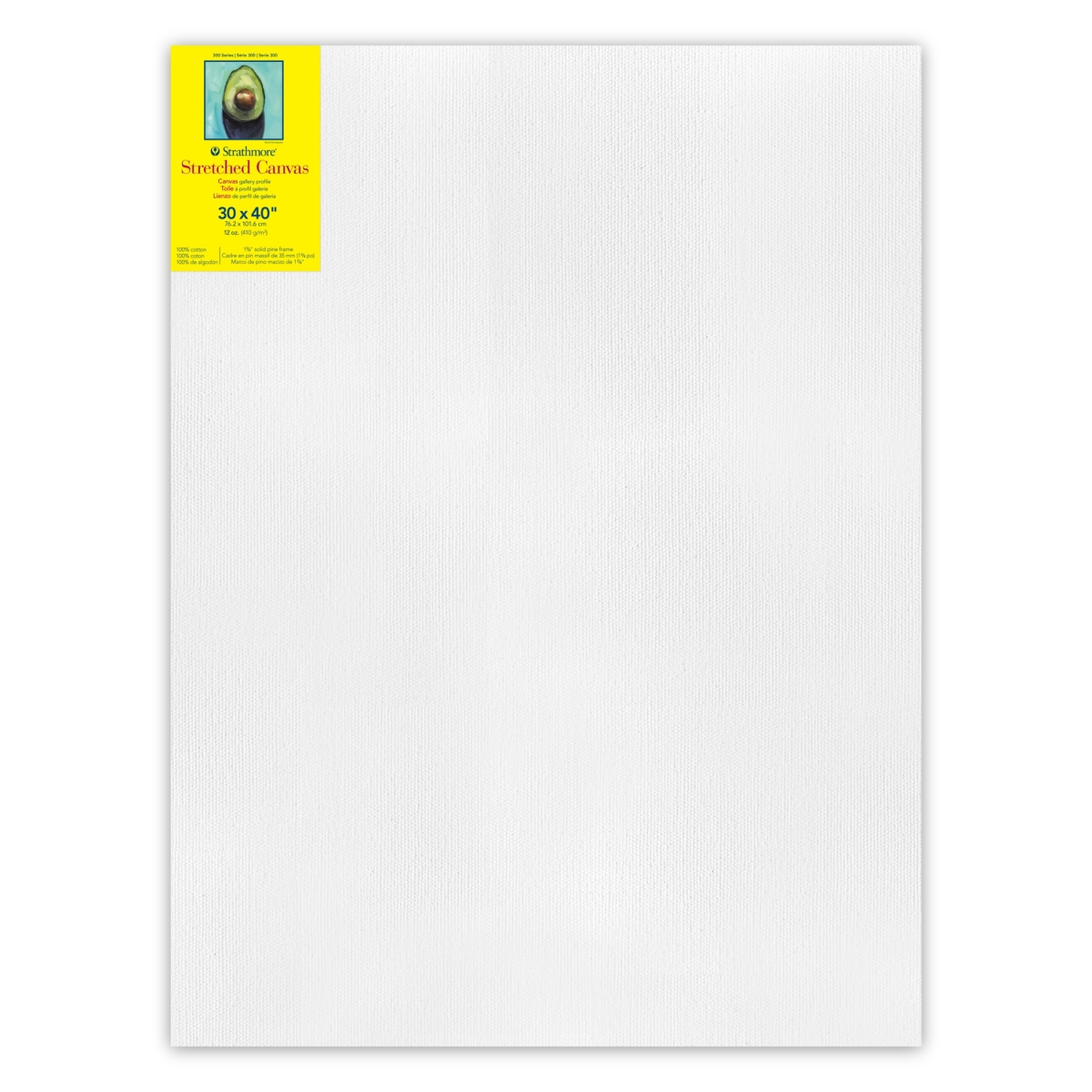 STT31430 30 x 40 in. 300 Series Strathmore Gallery Stretched Canvas