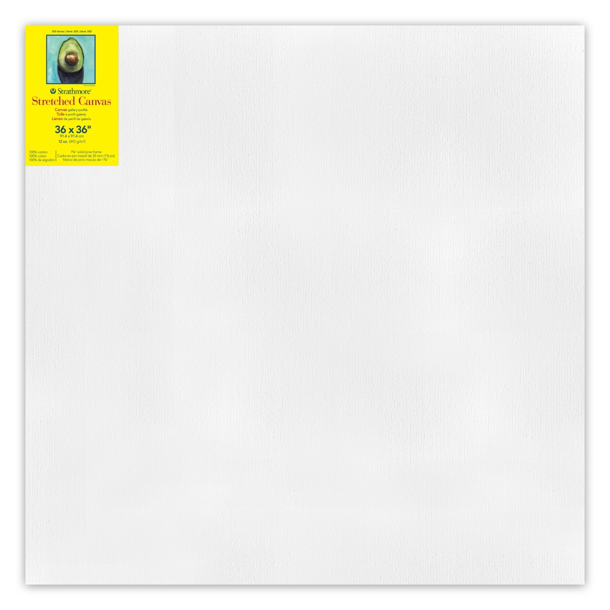 STT31433 36 x 36 in. 300 Series Strathmore Gallery Stretched Canvas