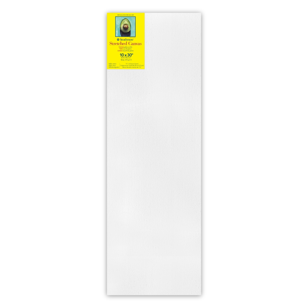 STT31413 10 x 30 in. 300 Series Strathmore Gallery Stretched Canvas