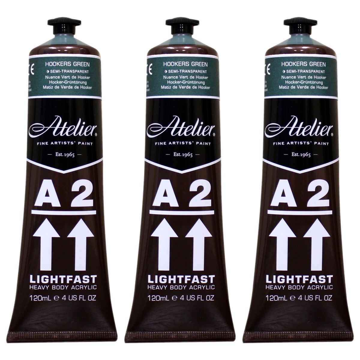 Chroma CRM767-3 A2 Heavy Body Lightfast Artist Atelier Acrylic Paint, Forest Green Hue - Pack of 3