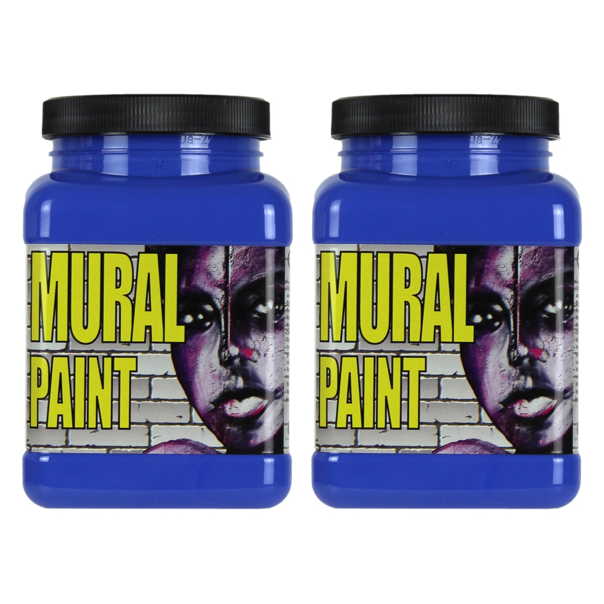 Chroma CRM2505-2 Mural Paint Pint, Neptune - Pack of 2