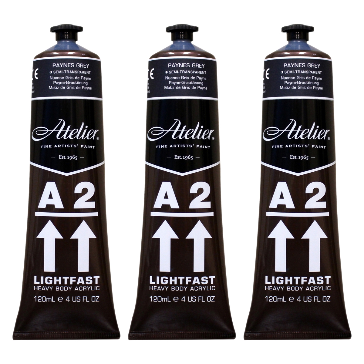 Chroma CRM763-3 A2 Heavy Body Lightfast Artist Atelier Acrylic Paint, Paynes Grey Hue - Pack of 3
