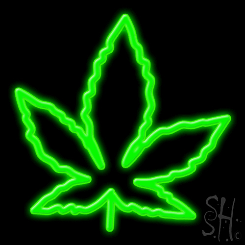 17 x 17 in. Leaf Logo Clear Backing Neon Sign, Green