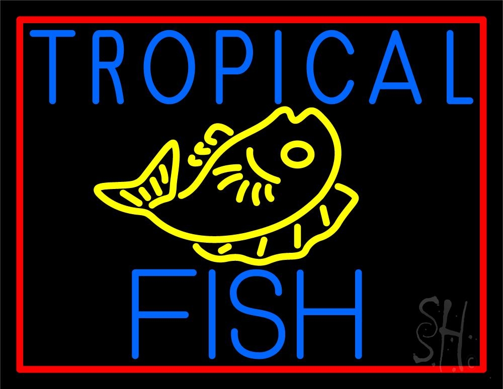 N105-5551-clear White Tropical Fish Logo Clear Backing Neon Sign - Red, Blue & Yellow - 24 in. Tall x 31 in. Wide