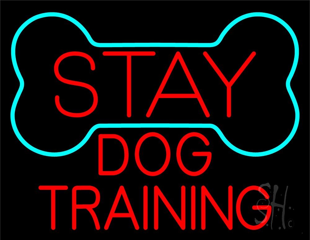 N105-5472-clear Red Dog Training Block 1 Clear Backing Neon Sign - Red & Turquoise - 24 in. Tall x 31 in. Wide