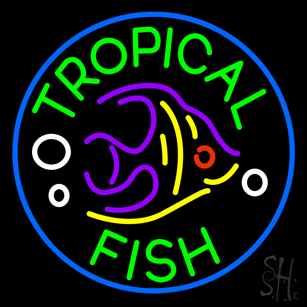 N105-19097-clear Tropical Fish Clear Backing Neon Sign - Multi Color - 24 in. Tall x 24 in. Wide