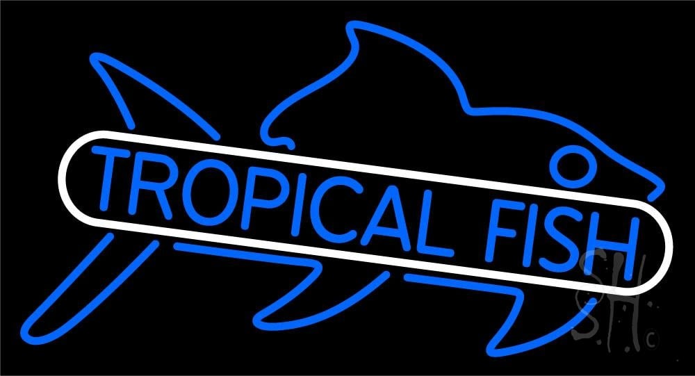 N105-5521-clear Tropical Fish Blue 1 Clear Backing Neon Sign - White & Blue - 20 in. Tall x 37 in. Wide