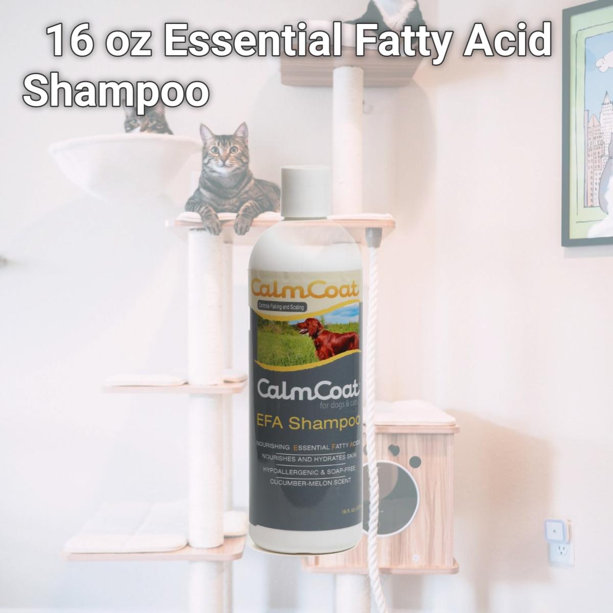Picture of Calm Coat 192959801637 16 oz Essential Fatty Acid Shampoo