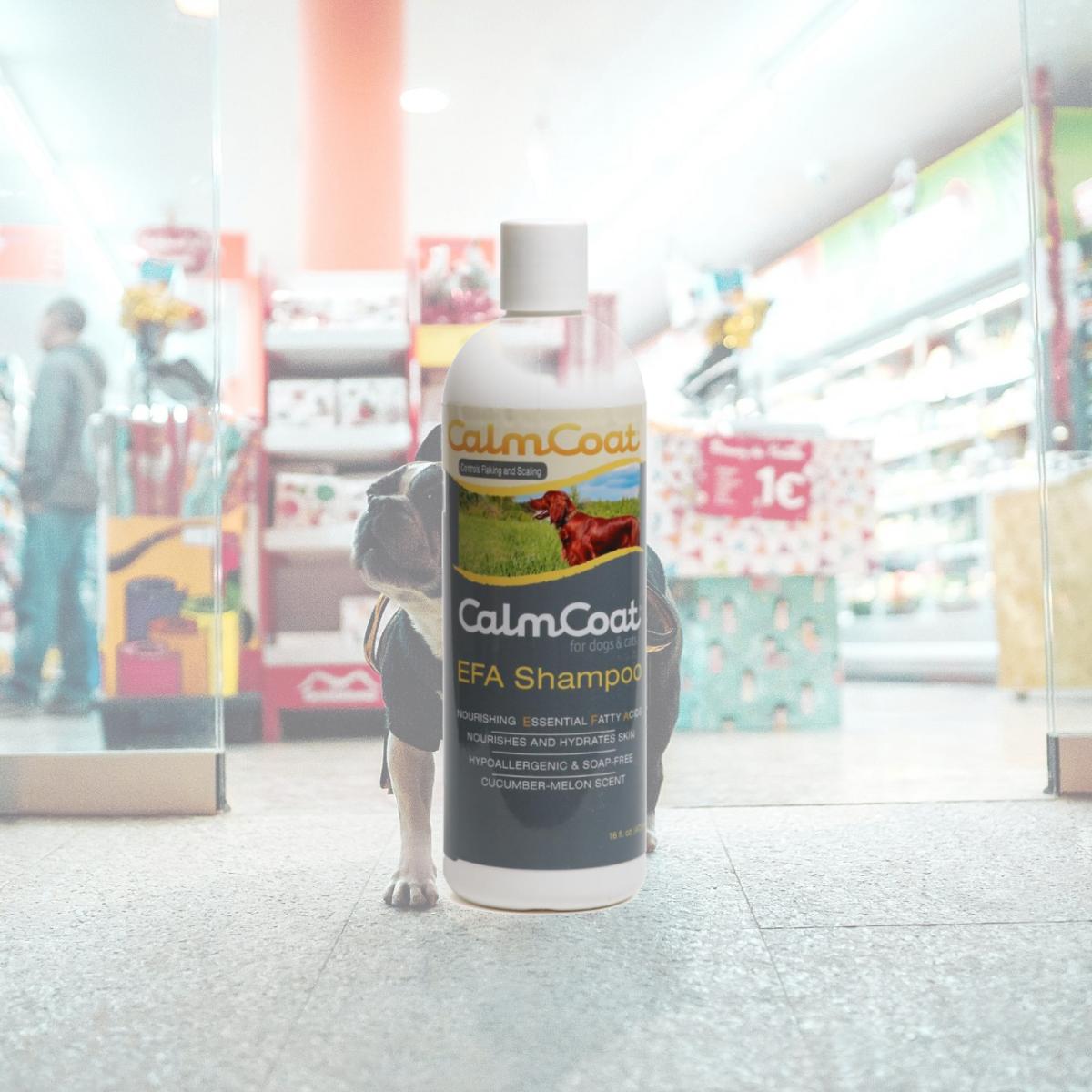 Picture of Calm Coat 192959801637 16 oz Essential Fatty Acid Shampoo