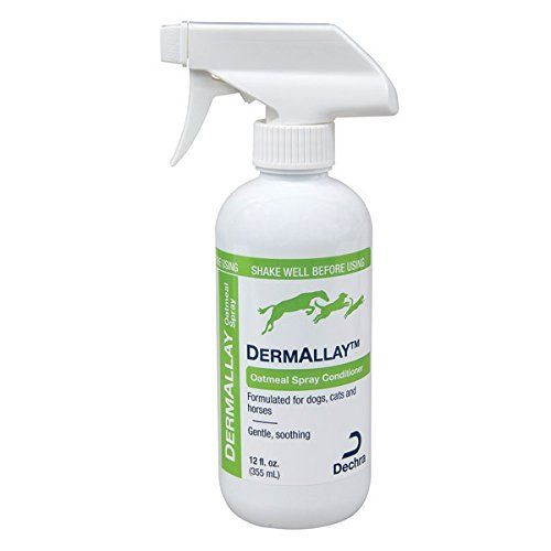 Picture of Dechra 192959807097 DermAllay Oatmeal Shampoo for Cats & Dogs&#44; 12 oz