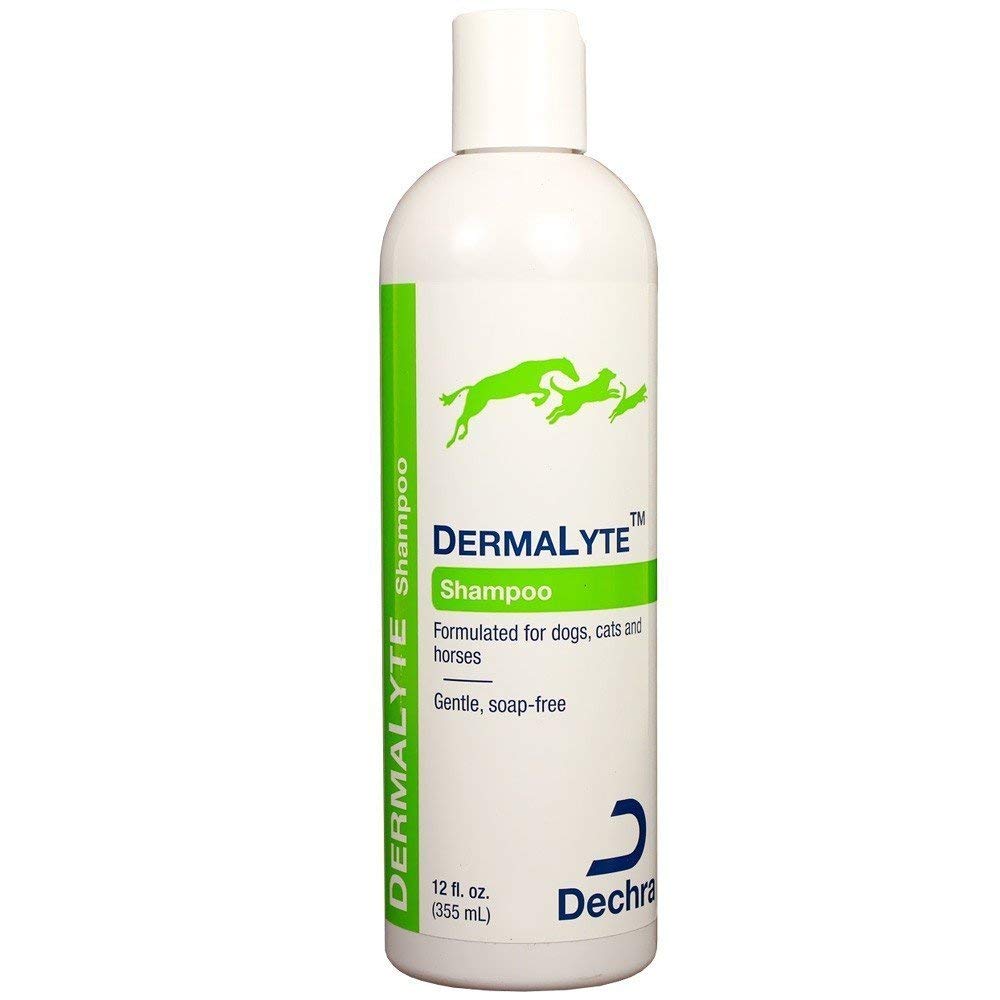 DermaLyte Shampoo for Cats & Dogs, 12 oz