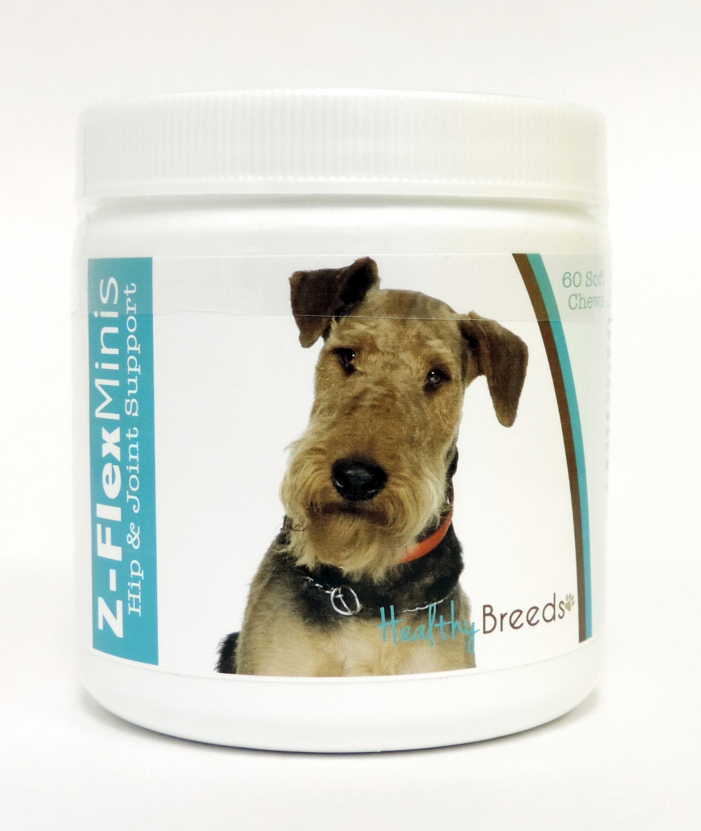 Picture of Healthy Breeds 840235100492 Airedale Terrier Z-Flex Minis Hip & Joint Support Soft Chews - 60 Count