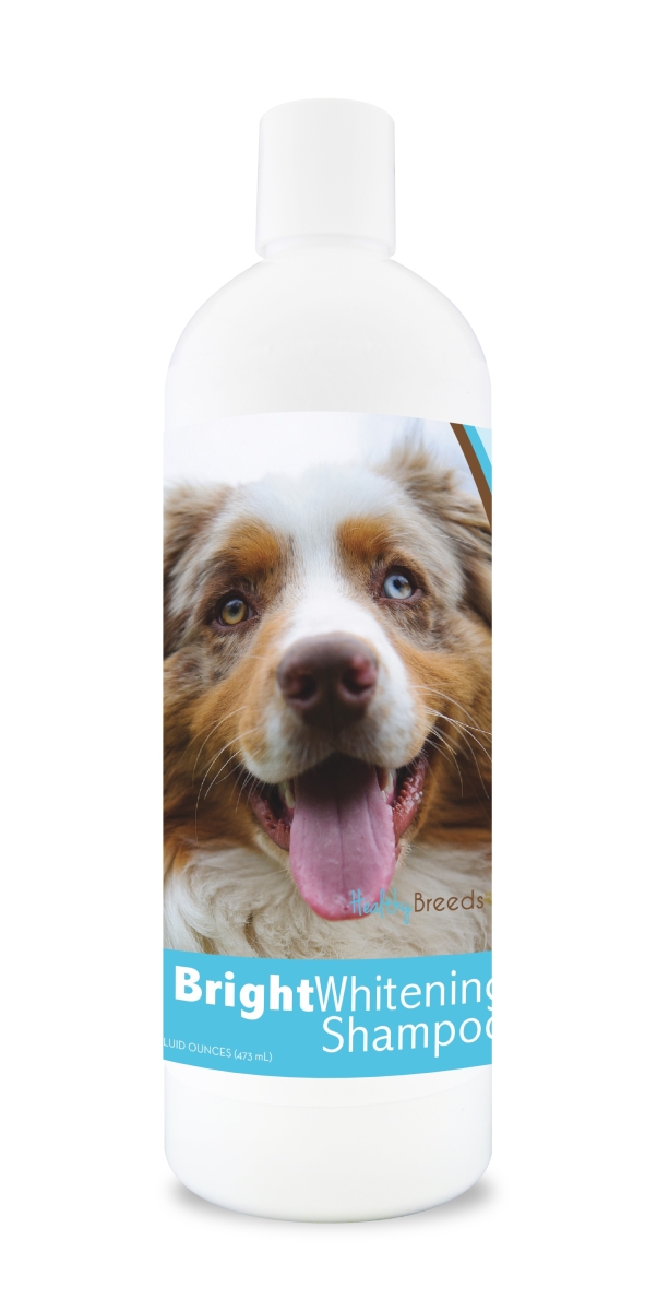 Picture of Healthy Breeds 840235101185 12 oz Australian Shepherd Bright Whitening Shampoo