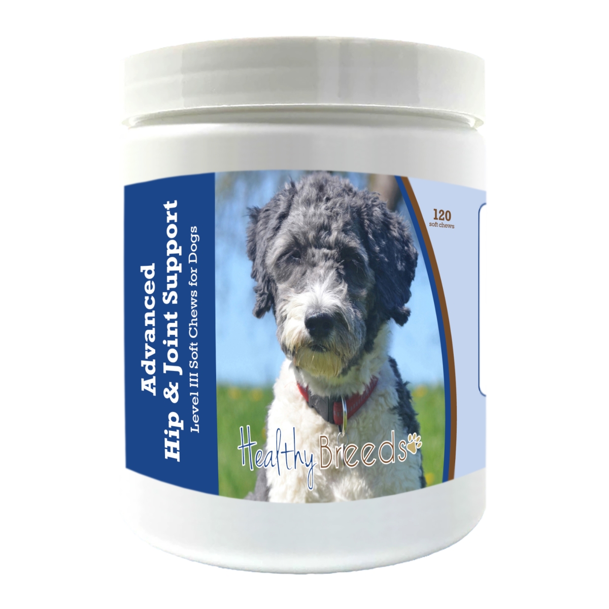 Picture of Healthy Breeds 192959897487 Aussiedoodle Advanced Hip & Joint Support Level III Soft Chews for Dogs