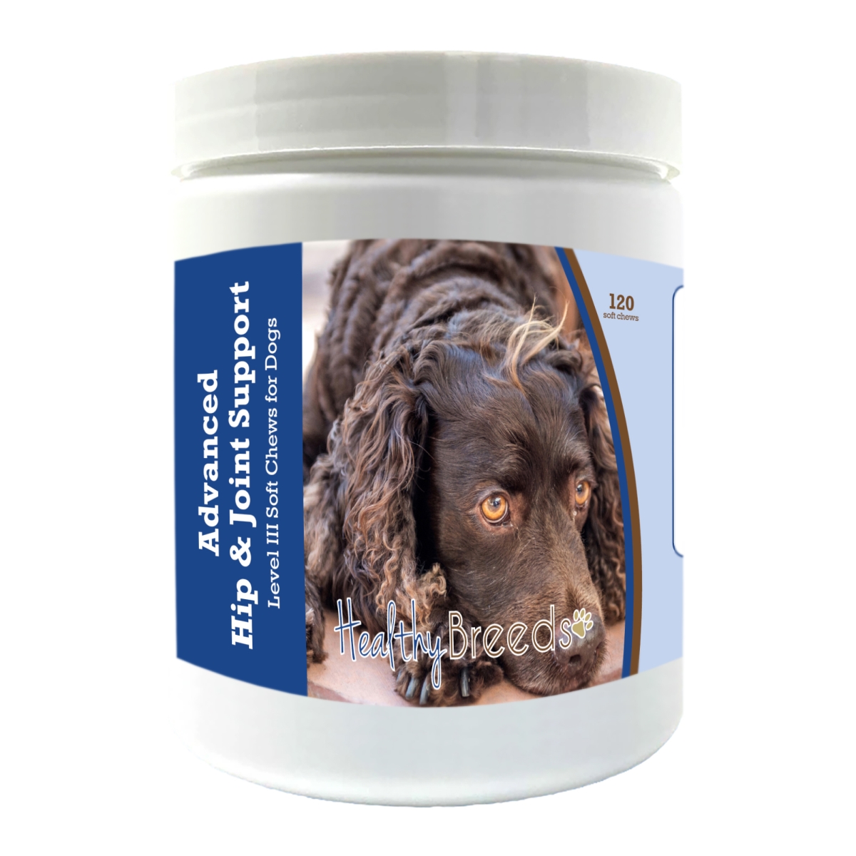 Picture of Healthy Breeds 192959897517 American Water Spaniel Advanced Hip & Joint Support Level III Soft Chews for Dogs