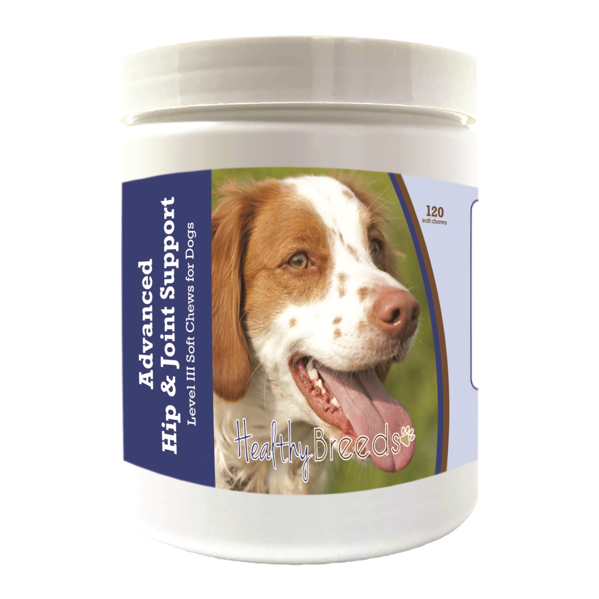 Picture of Healthy Breeds 192959897760 Brittany Advanced Hip & Joint Support Level III Soft Chews for Dogs