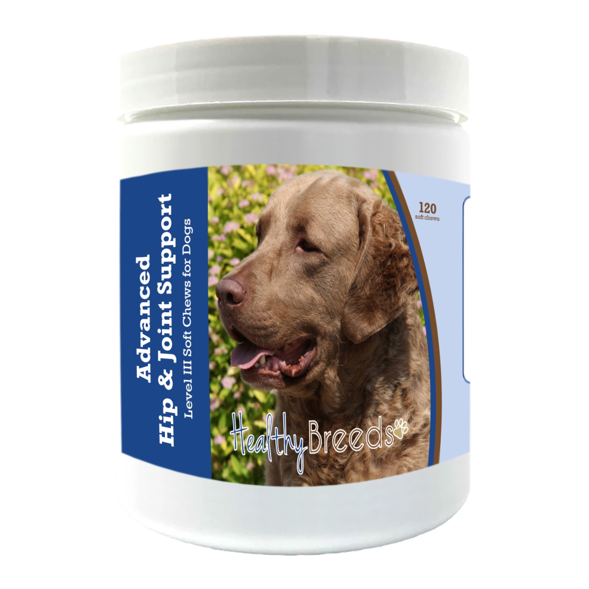 Picture of Healthy Breeds 192959898002 Chesapeake Bay Retriever Advanced Hip & Joint Support Level III Soft Chews for Dogs