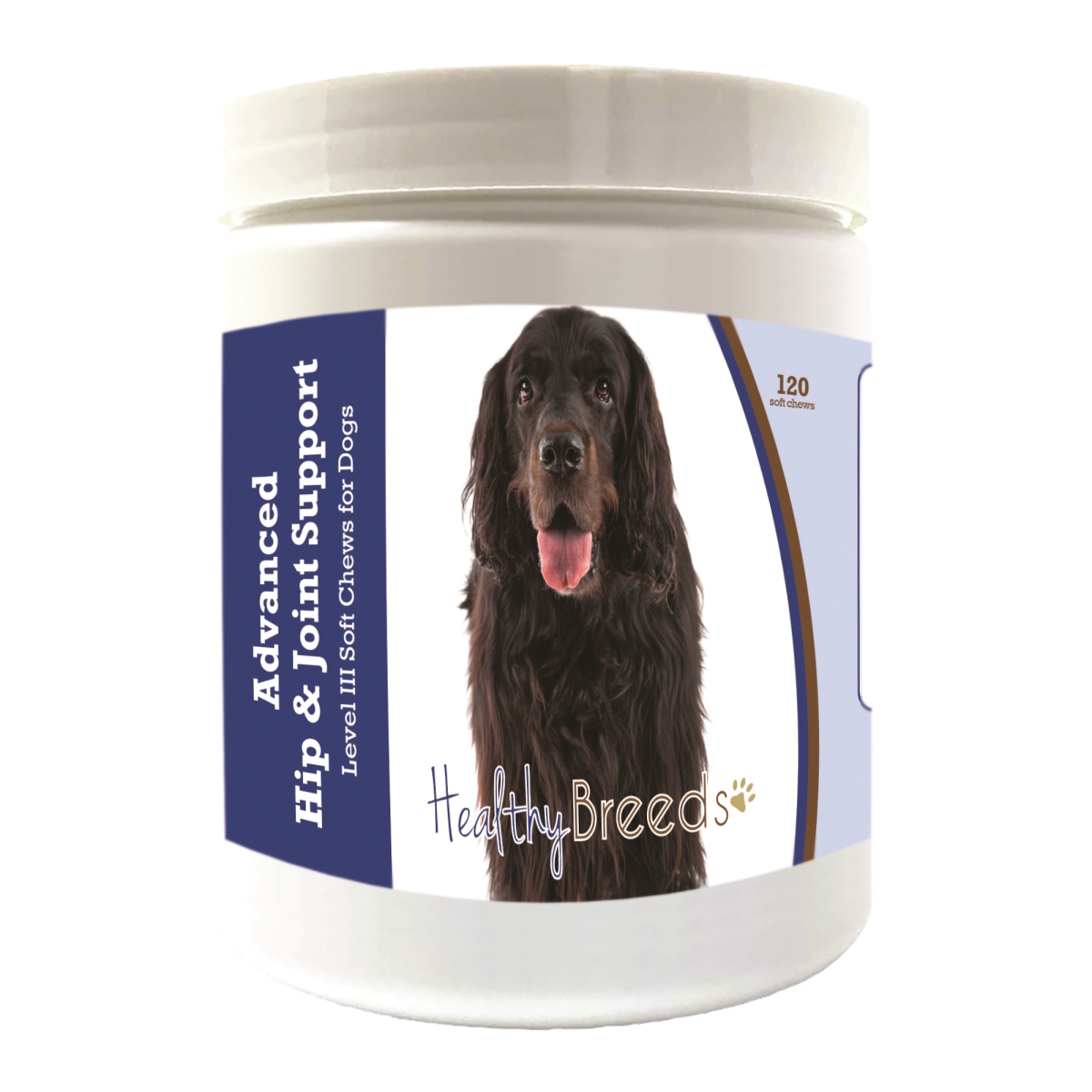Picture of Healthy Breeds 192959898385 Gordon Setter Advanced Hip & Joint Support Level III Soft Chews for Dogs