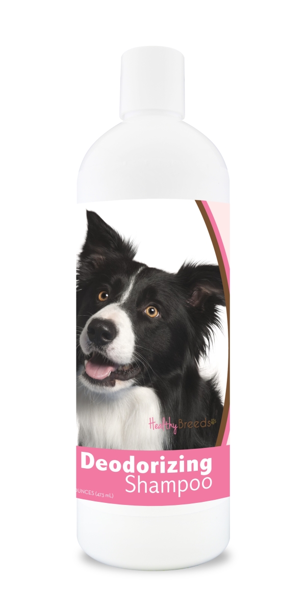 840235101482 16 oz Border Collie Deodorizing Shampoo