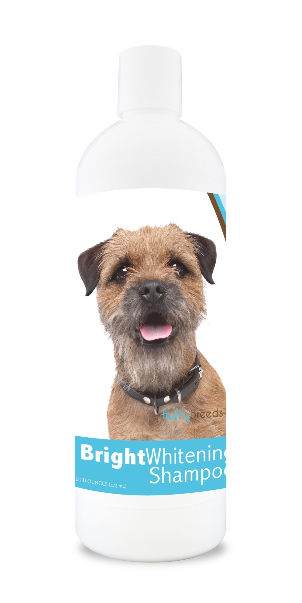 Picture of Healthy Breeds 840235101833 12 oz Border Terrier Bright Whitening Shampoo