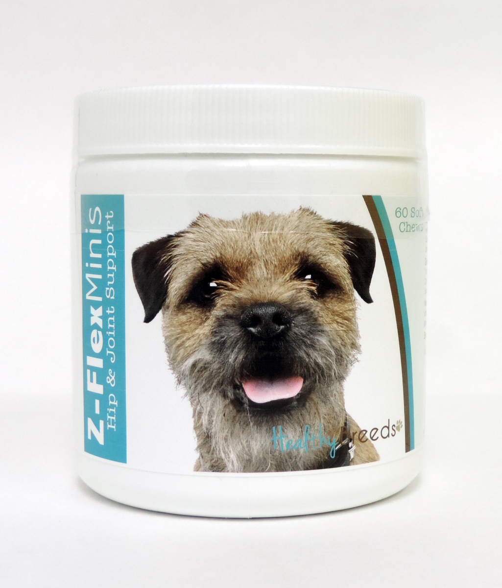 Picture of Healthy Breeds 840235101895 Border Terrier Z-Flex Minis Hip & Joint Support Soft Chews - 60 Count
