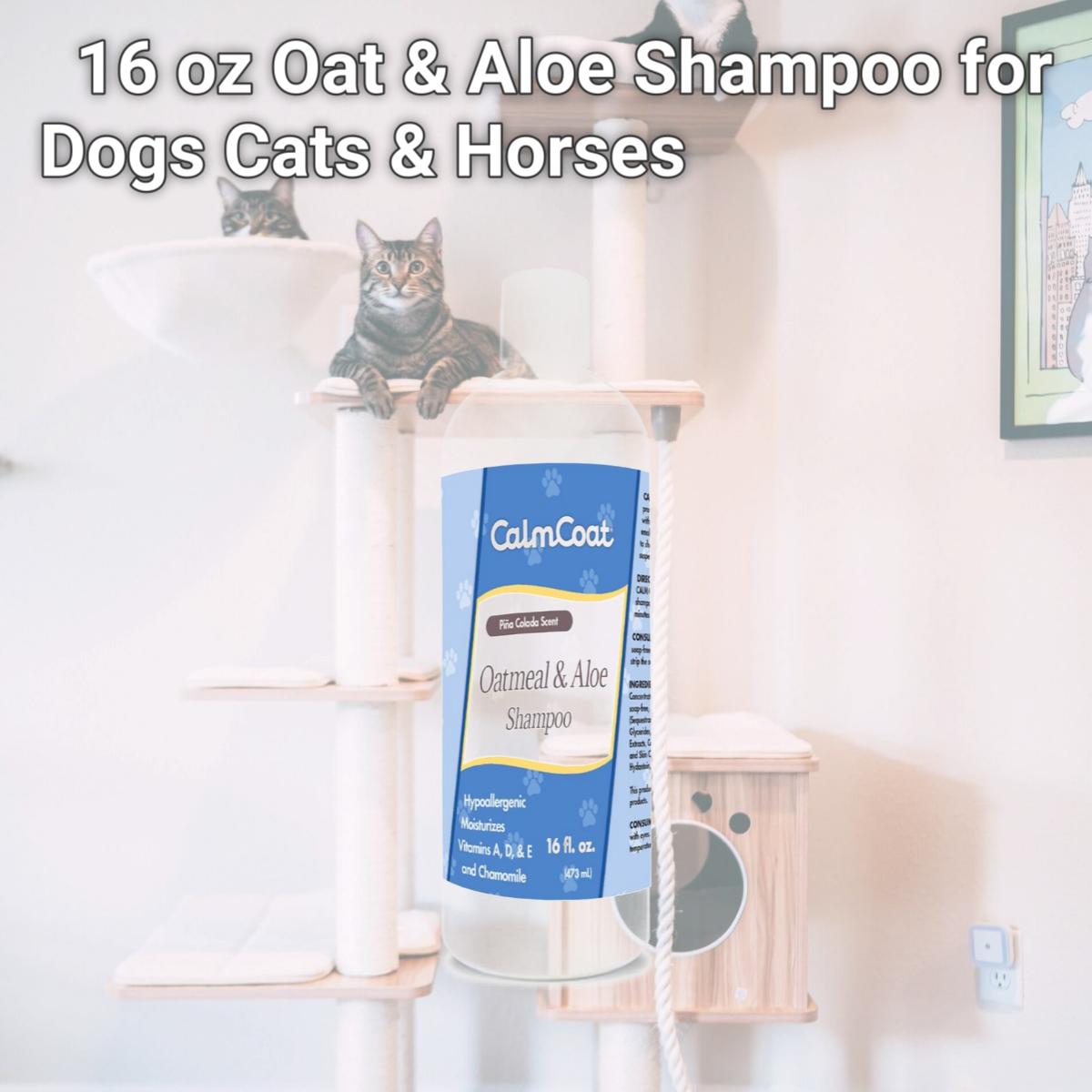 Picture of Calm Coat 192959801200 16 oz Oat & Aloe Shampoo for Dogs Cats & Horses