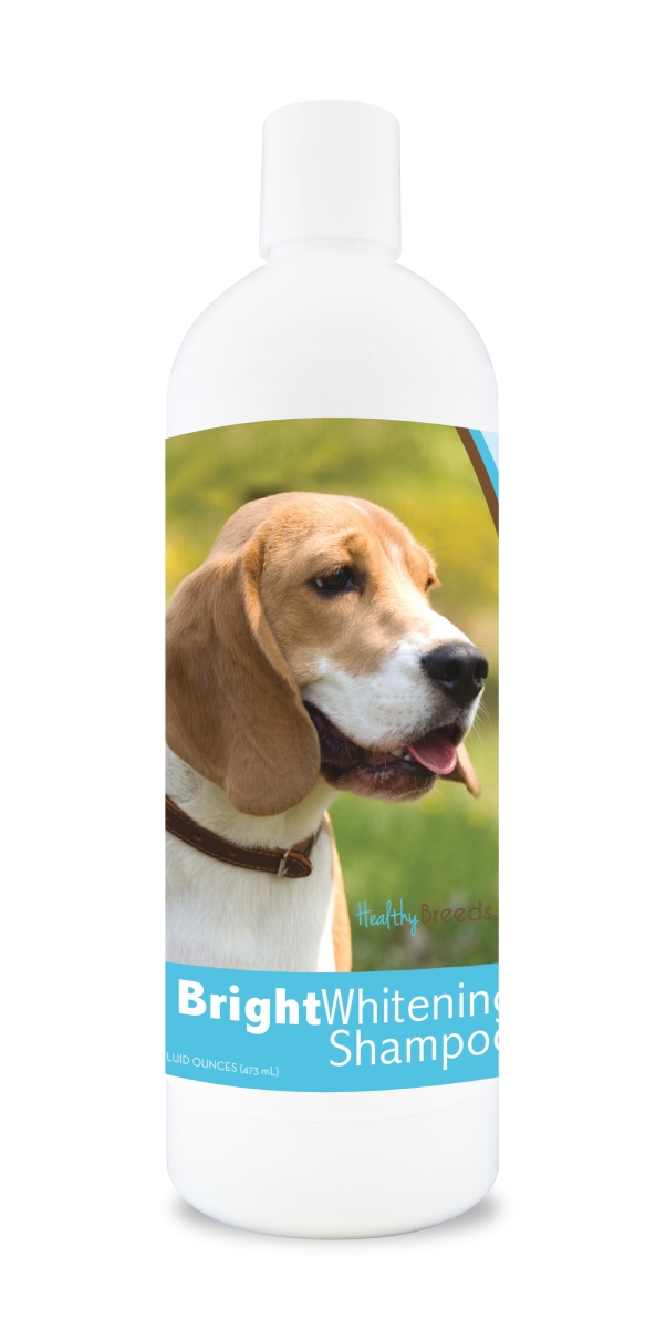 Picture of Healthy Breeds 840235102021 12 oz Beagle Bright Whitening Shampoo