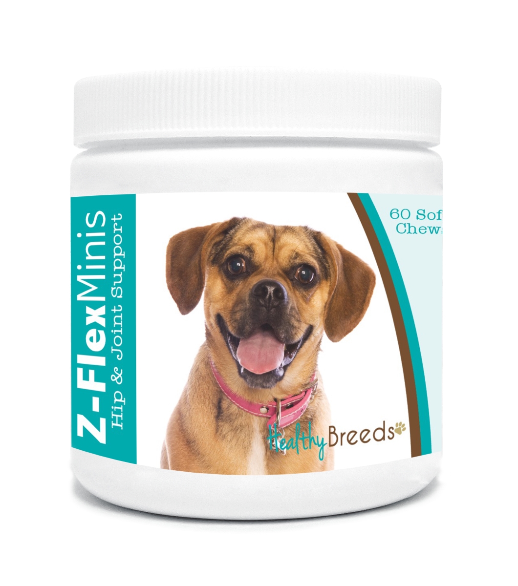 Picture of Healthy Breeds 840235137238 Puggle Z-Flex Minis Hip & Joint Support Soft Chews - 60 Count