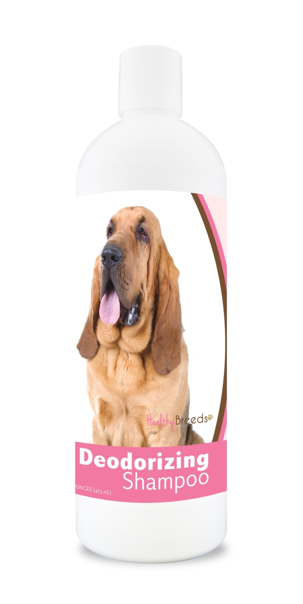 Picture of Healthy Breeds 840235102731 16 oz Bloodhound Deodorizing Shampoo