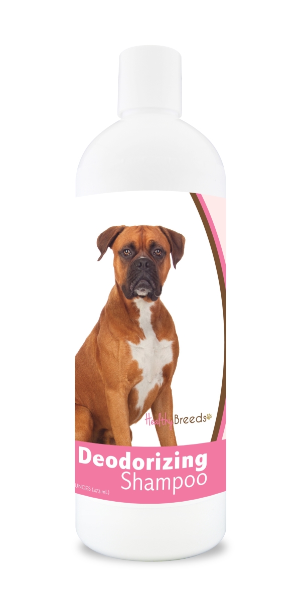 840235103059 16 oz Boxer Deodorizing Shampoo