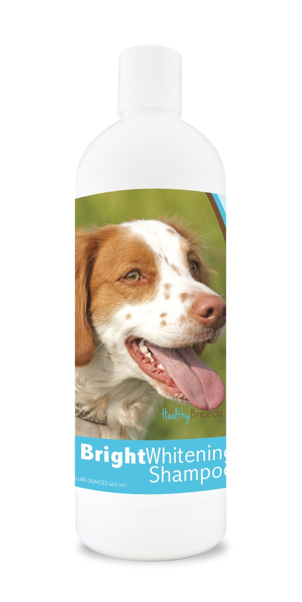 Picture of Healthy Breeds 840235103240 12 oz Brittany Bright Whitening Shampoo