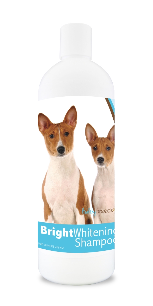 Picture of Healthy Breeds 840235103530 12 oz Basenji Bright Whitening Shampoo