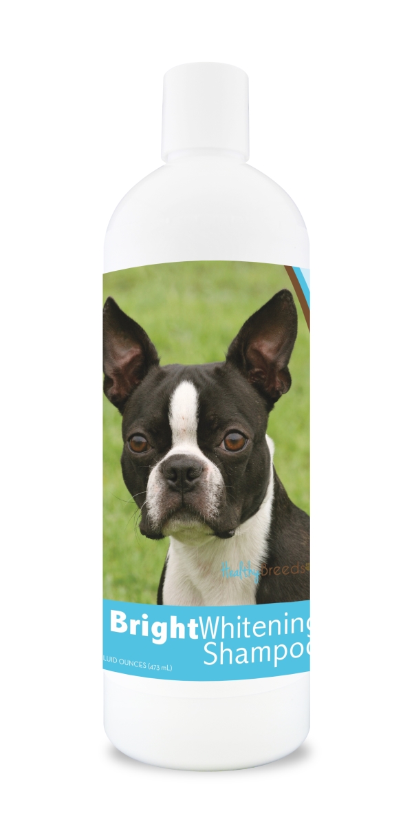 Picture of Healthy Breeds 840235103707 12 oz Boston Terrier Bright Whitening Shampoo