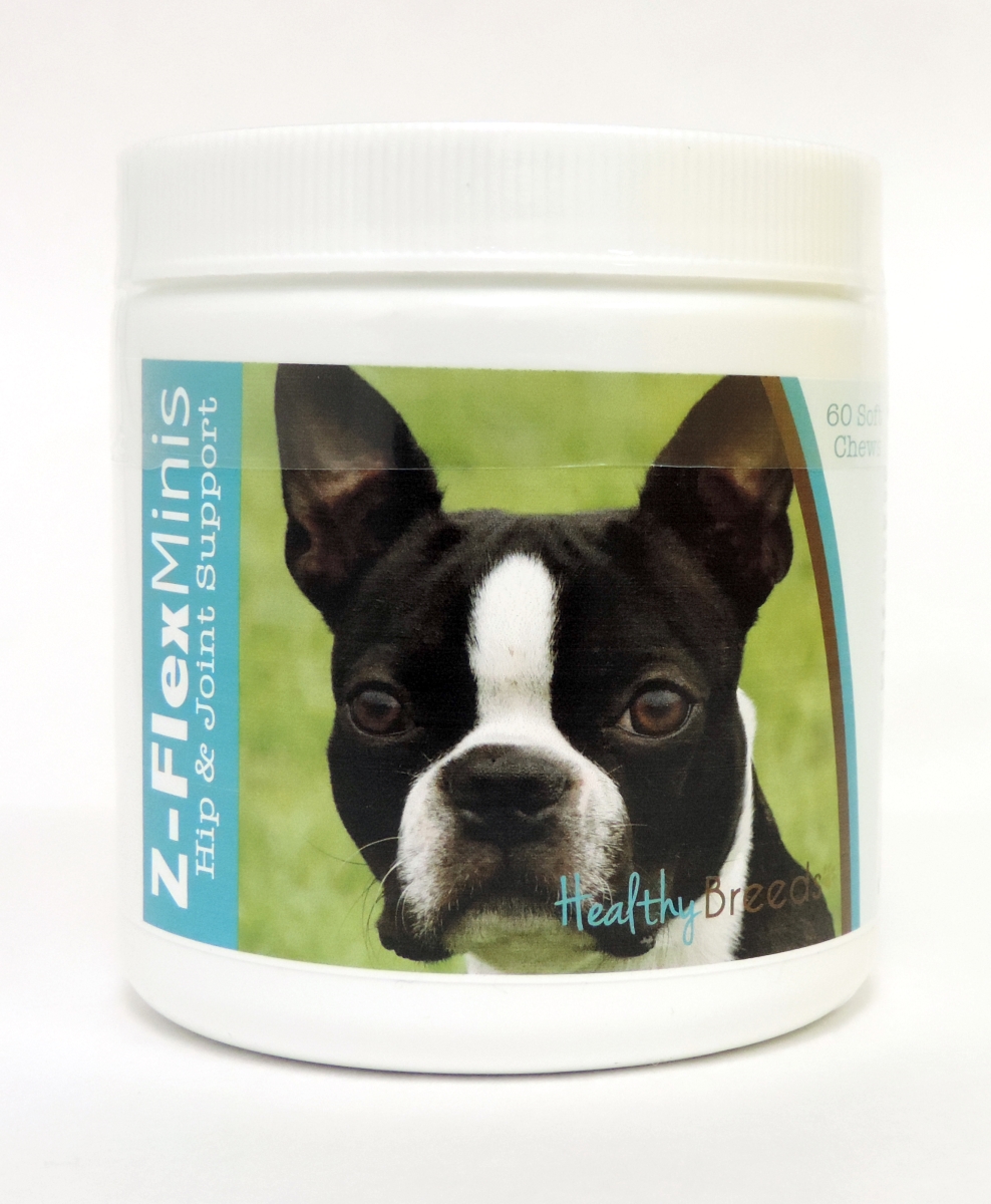 Picture of Healthy Breeds 840235103769 Boston Terrier Z-Flex Minis Hip & Joint Support Soft Chews - 60 Count
