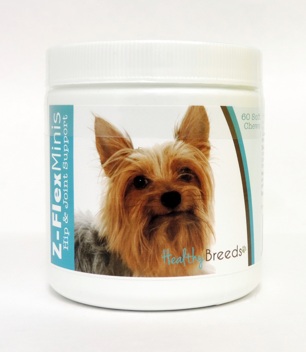 Picture of Healthy Breeds 840235114680 Silky Terrier Z-Flex Minis Hip & Joint Support Soft Chews&#44; 60 Count